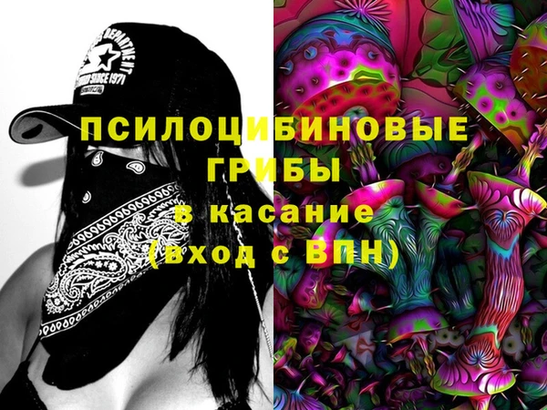 крисы Алексеевка