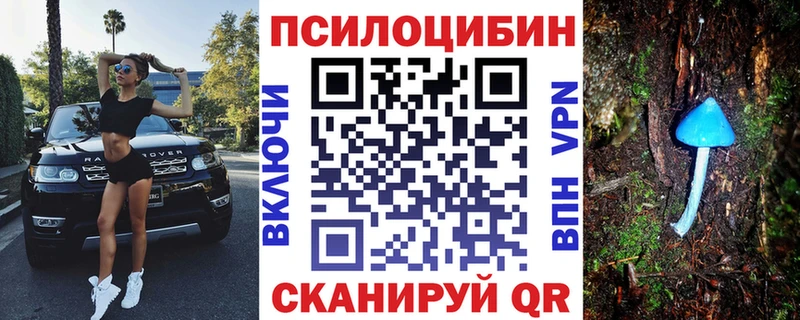OMG как зайти  Богородск  Галлюциногенные грибы Psilocybe  купить  сайты 